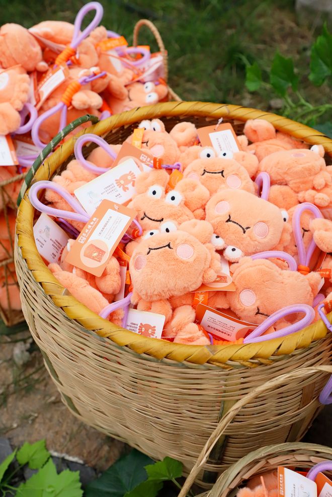 小冰箱贴缘何成了“社交货币”AG真人国际游戏江南观察 小(图2)