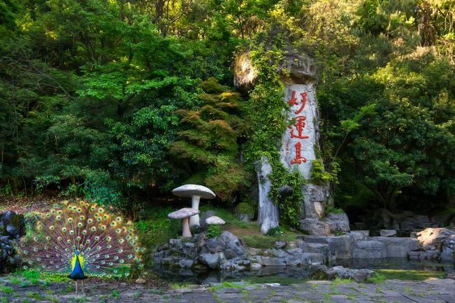 邀您一起“趣”登山 “杏”会大慈岩！AG真人国际游戏跟着赛事游建德！本周(图6)