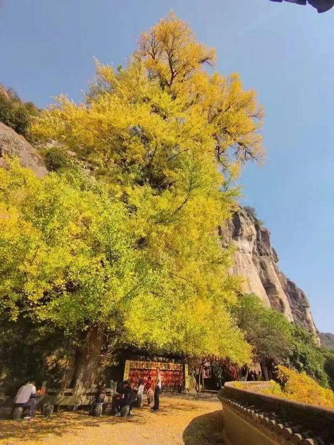 邀您一起“趣”登山 “杏”会大慈岩！AG真人国际游戏跟着赛事游建德！本周(图7)